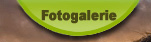 Fotogalerie